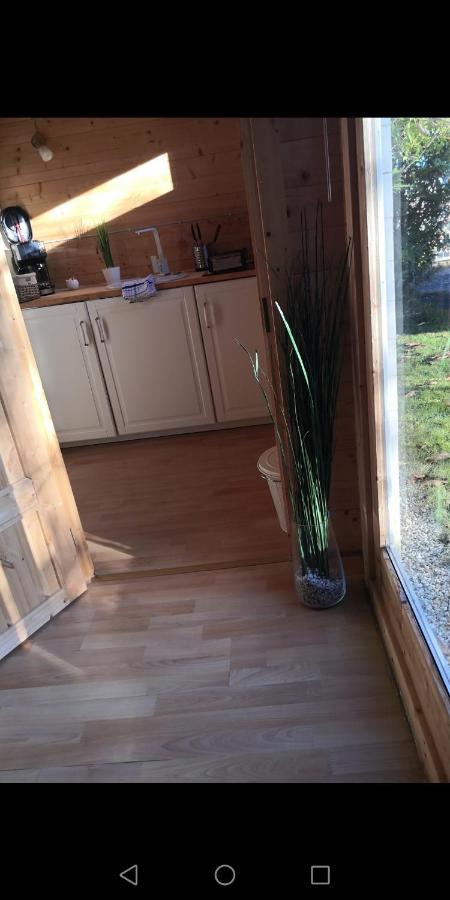 25 Qm Holz Bungalow, Garten-Grill, Gehoben, Optimiert, Massivholzbett Scharbeutz Extérieur photo